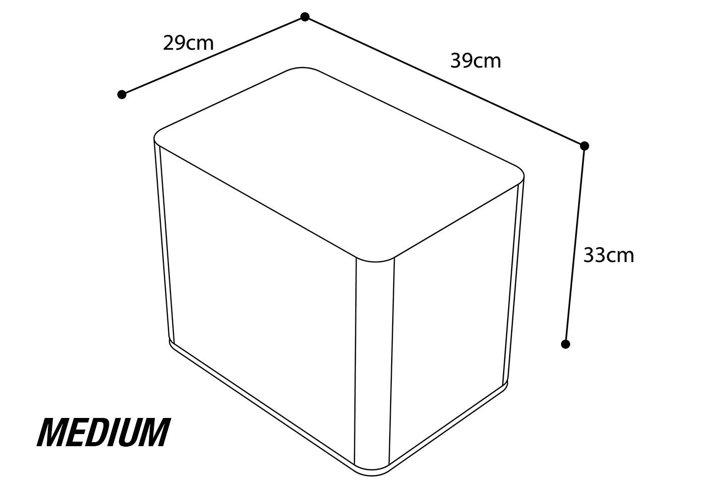 BIg Freeze Cool Bag Medium.jpg