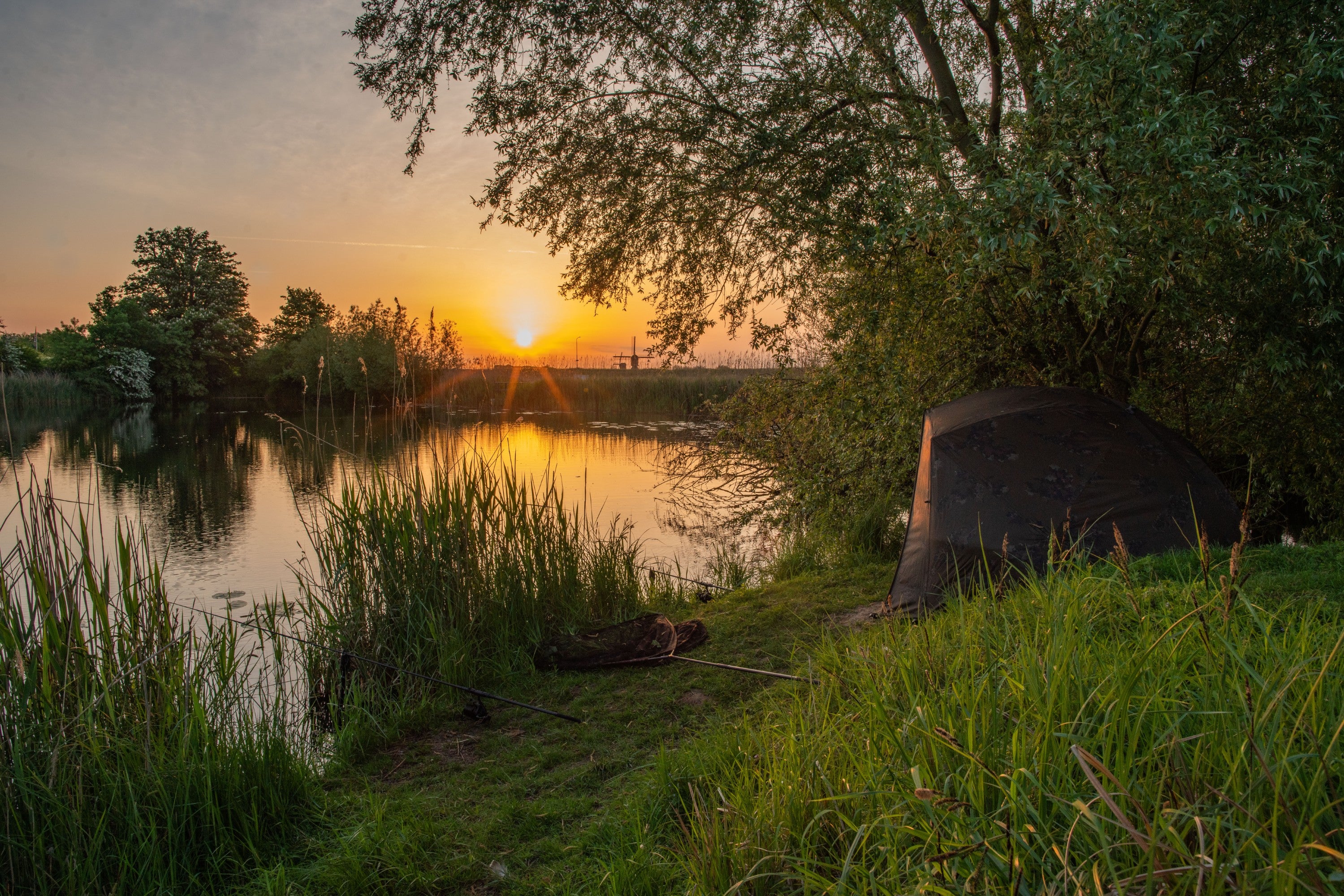 ScoprBrollyNew (31).jpg