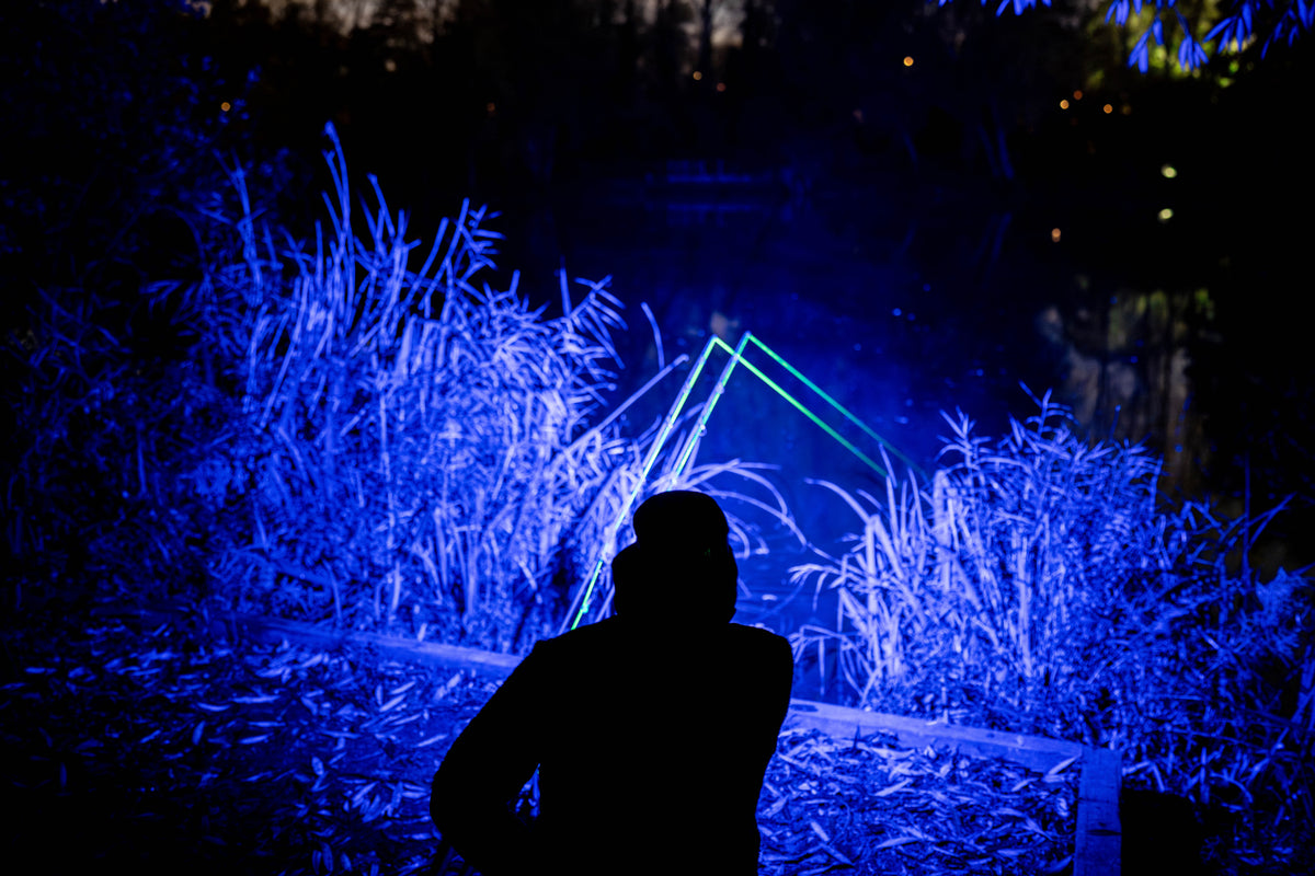 T1247_LS_01.jpg
