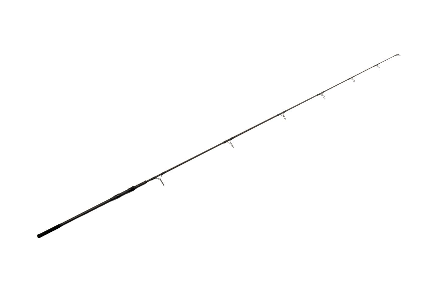 T1902-T1911_SS_11.jpg