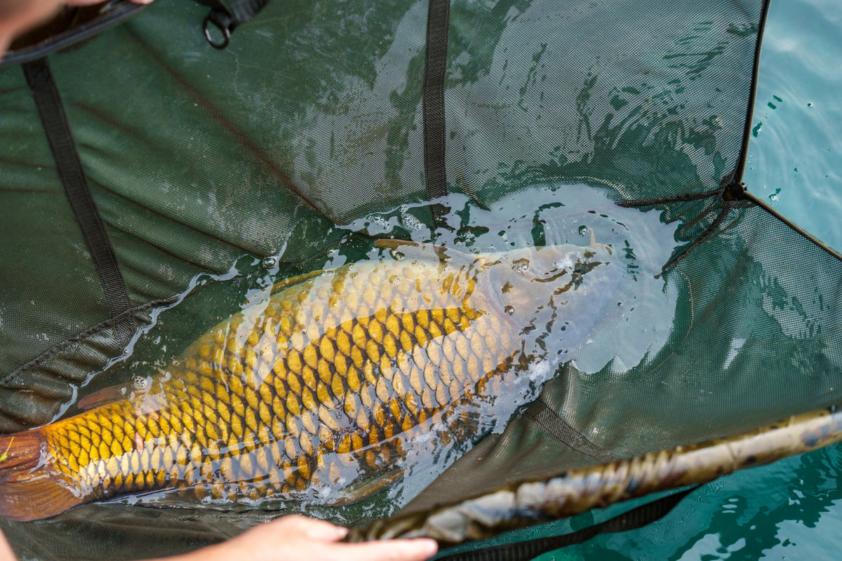 Carp Care Retainer Sling Monster Camo (3).jpg