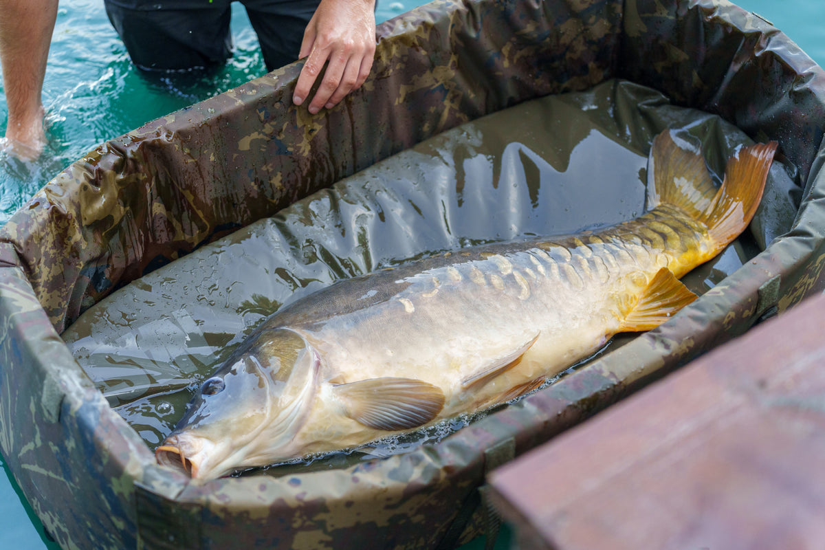 Carp Care Welded Corral Mat Camo (15).jpg